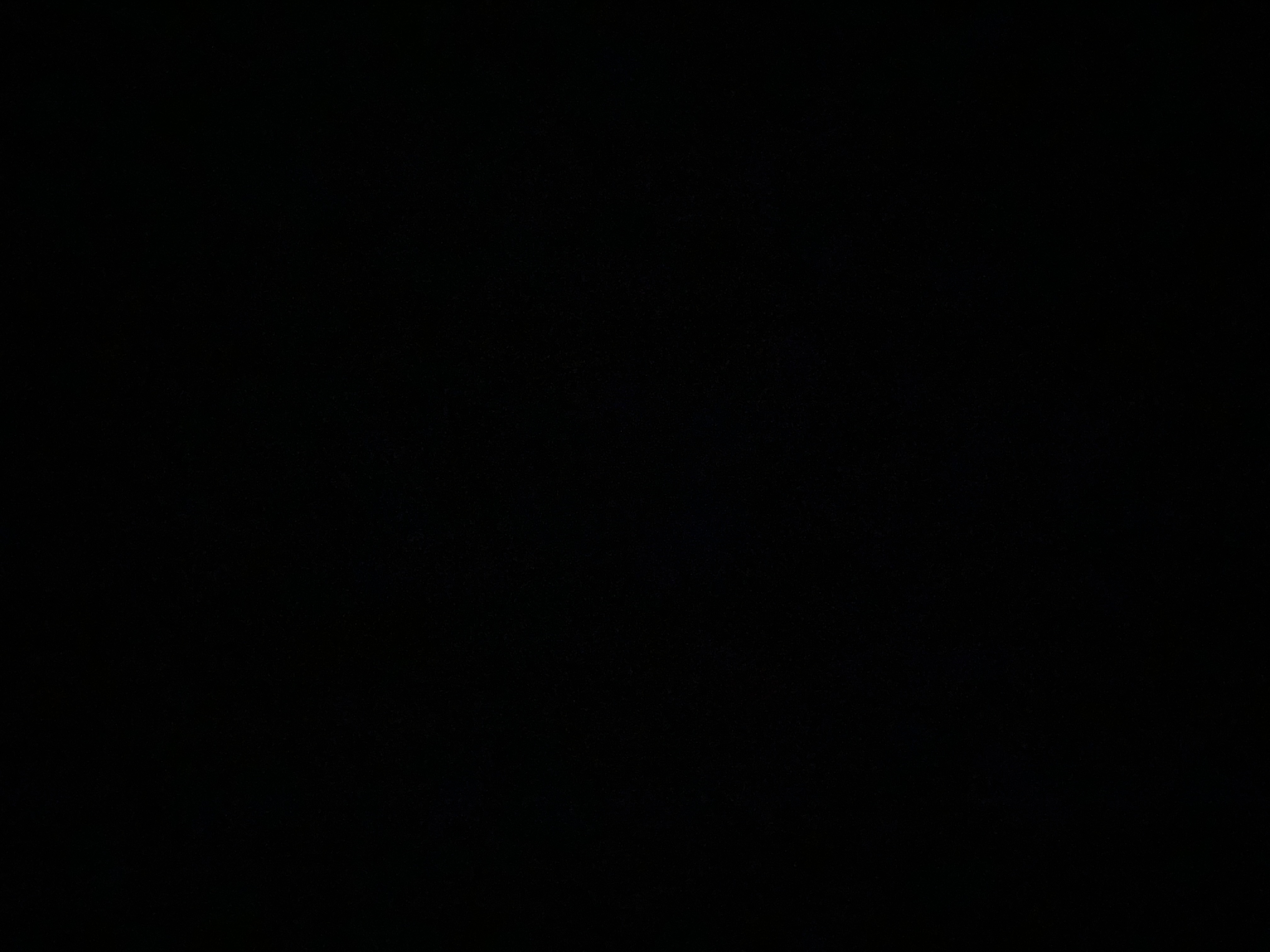 علی نوروزی
